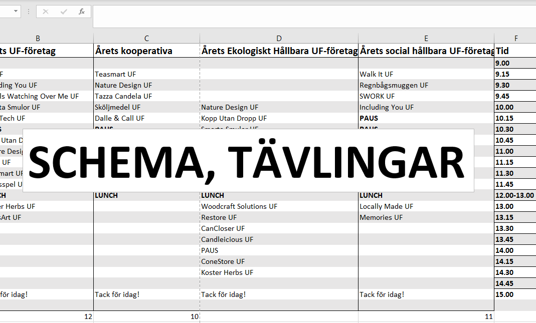 Schema bild e-week