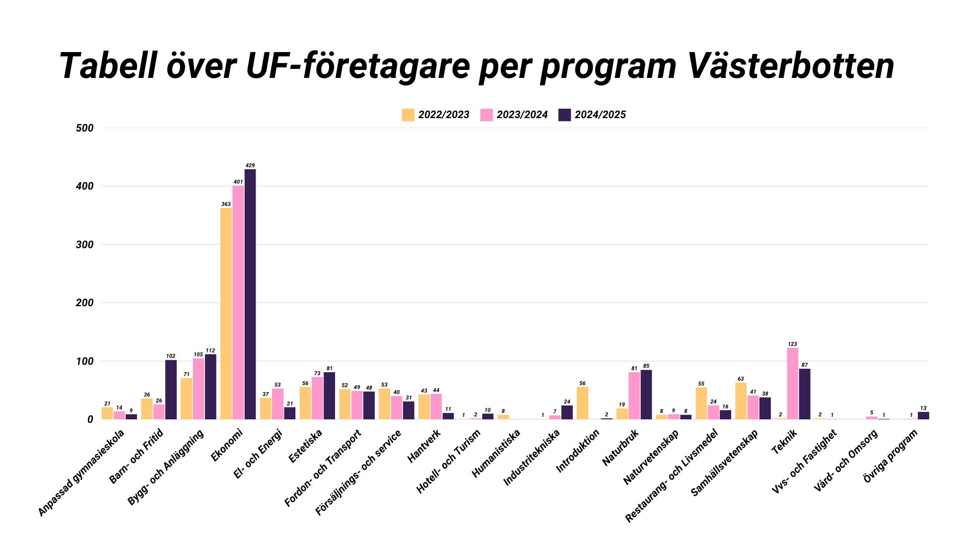 UF-företagare per program