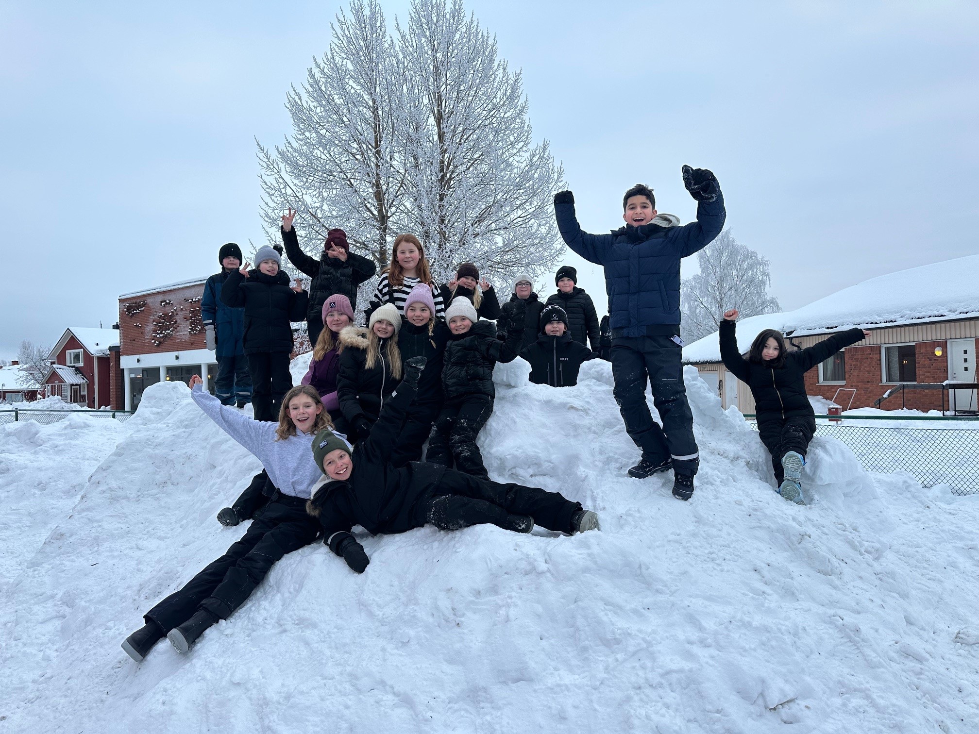 Innovitaskolan Kalix åk 4