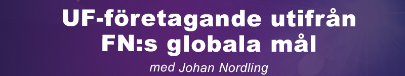 UF-företagande FN mål