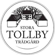 Stora Tollbygård