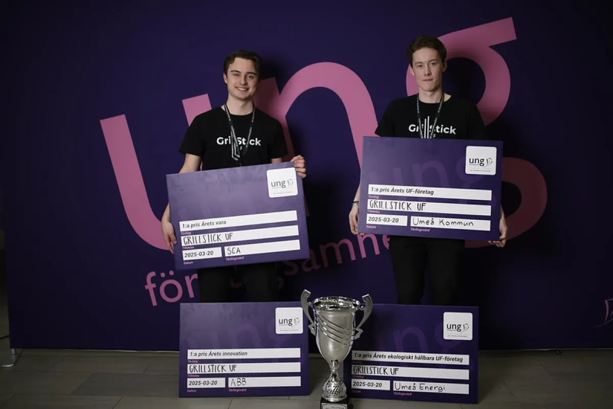 Ta chansen att vara med i juryarbete under UF-mästerskapen!