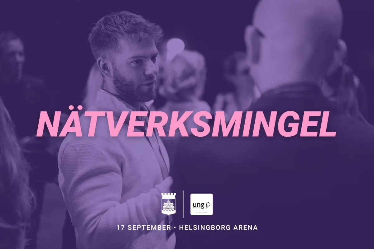 Nätverksmingel