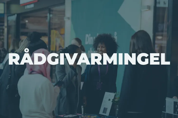 Rådgivarmingel