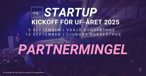 Partnermingel Startup 2025