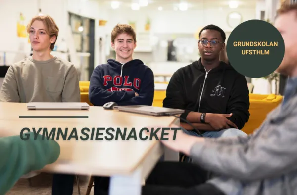 Gymnasiesnacket 