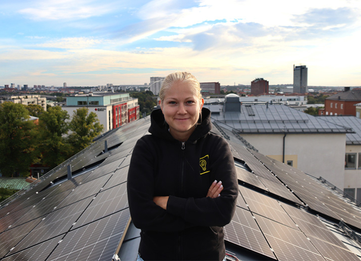 ida norström uf-företag