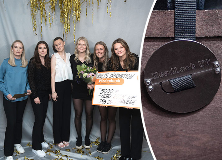 Sm ung företagsamhet