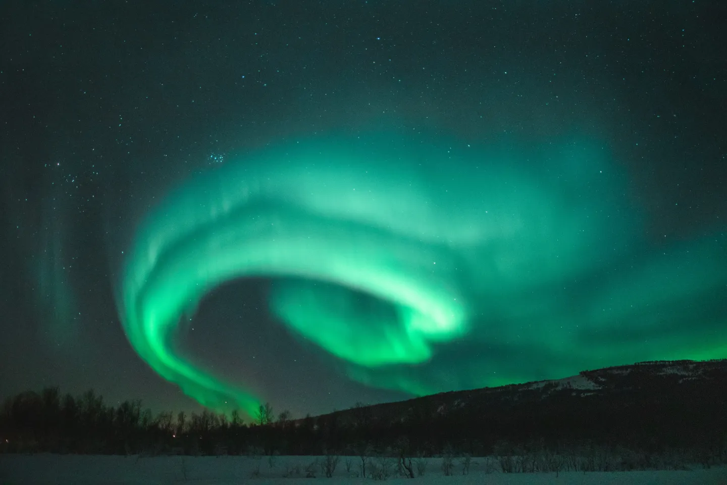 Aurora Entrepreneurialis