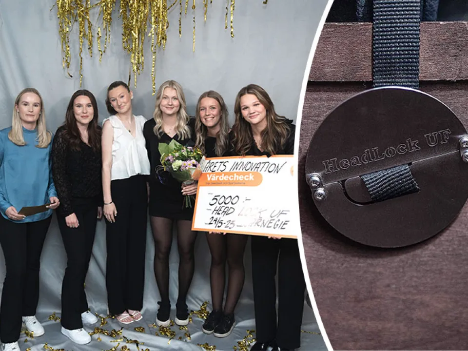 Sm ung företagsamhet