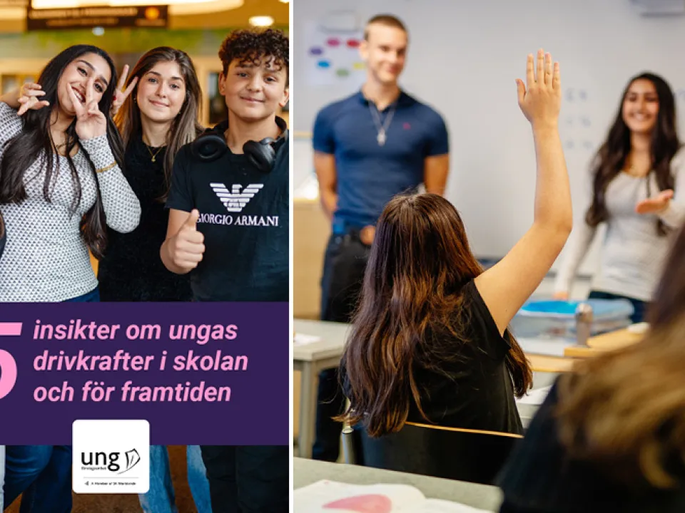 ung företagsamhet grundskolan undersökning entreprenörskap