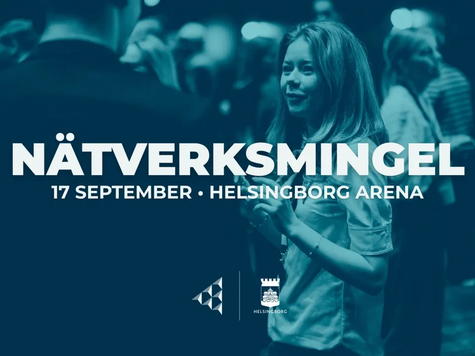 Nätverksmingel