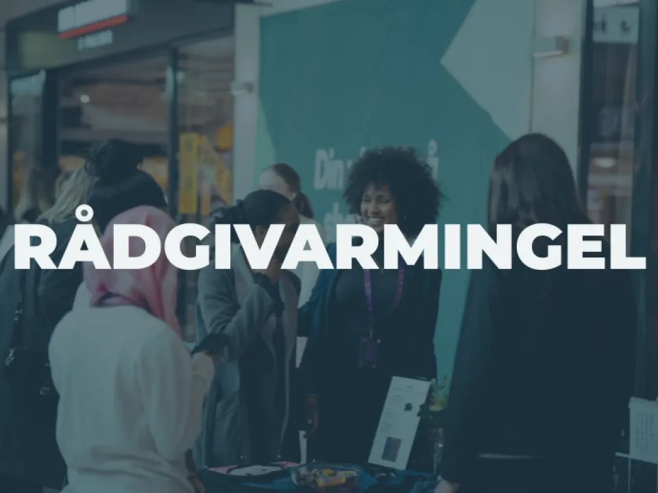 Rådgivarmingel