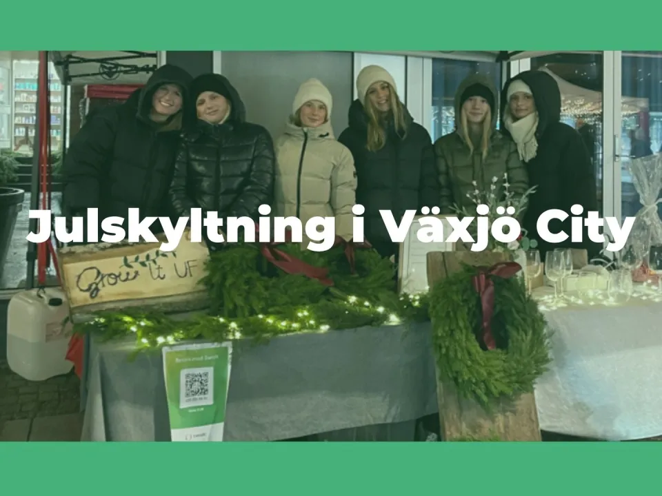Julskyltning