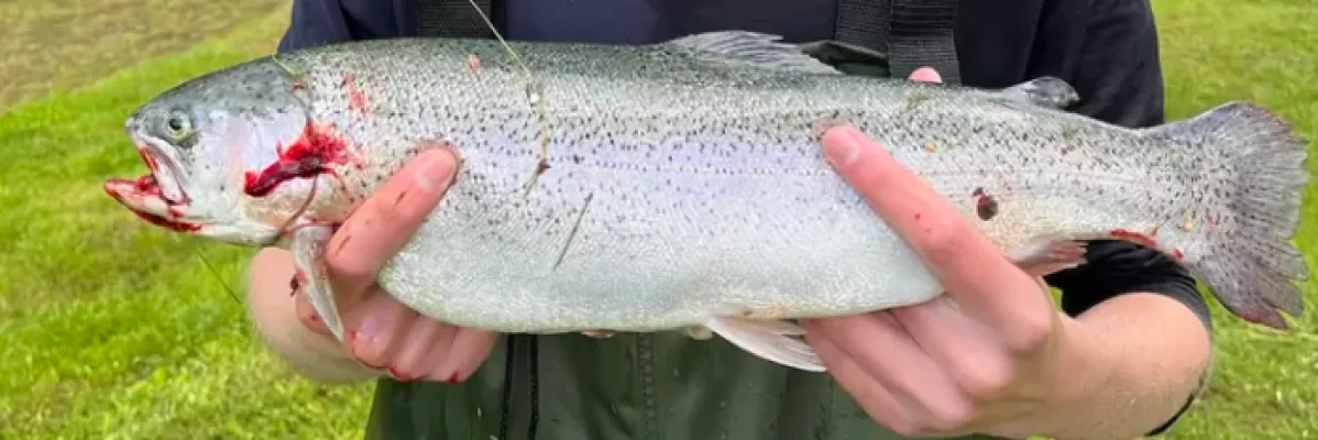 MinFisk UF
