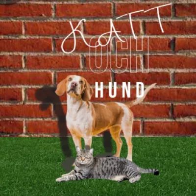 katt/hund UF