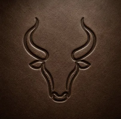 BullCard UF