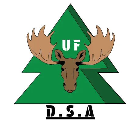 Dalslands Skog och Allservice UF