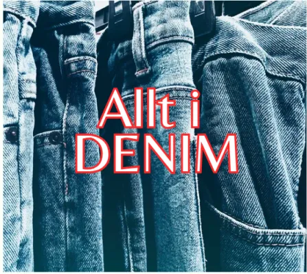 Allt i Denim UF