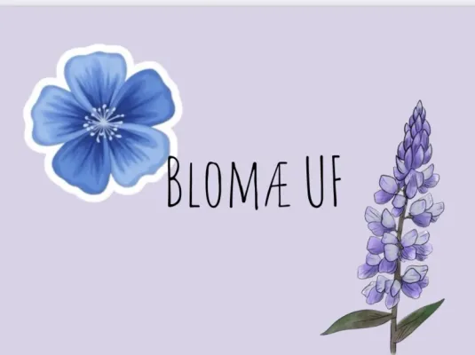 Blommae UF