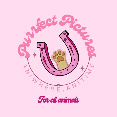 Purrfect Pictures UF