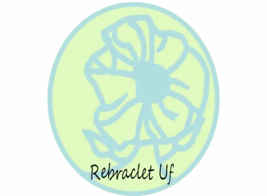 ReBracelet UF
